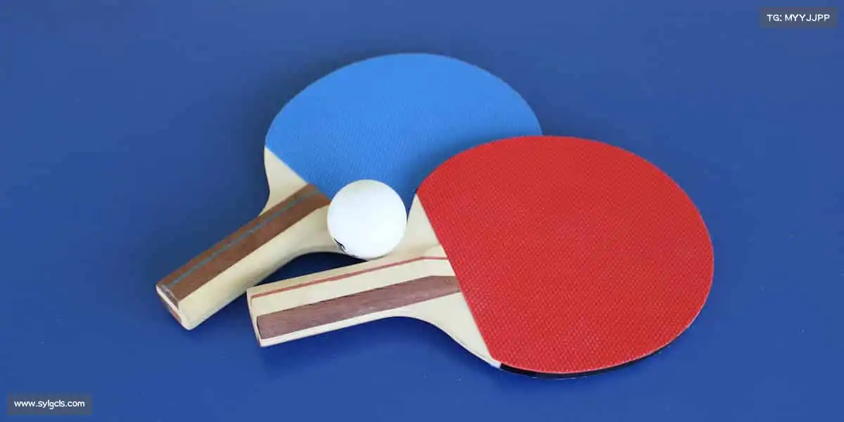 行业领先的理由